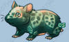 Pet