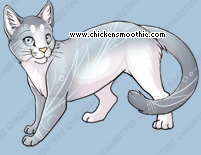 Pet