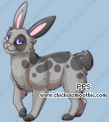 Pet