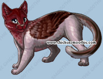 Pet