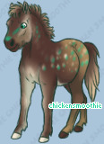 Pet
