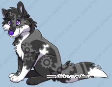 Pet