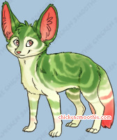 Pet