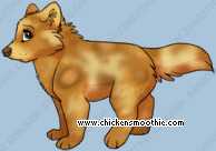 Pet