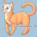 Pet