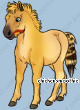 Pet