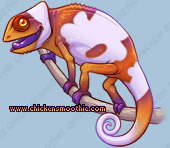 Pet