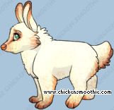 Pet