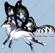 Pet