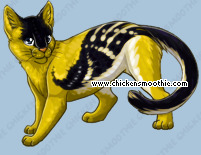 Pet
