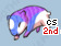 Pet