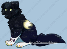 Pet
