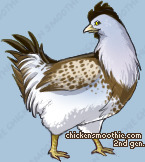 Pet