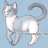 Pet