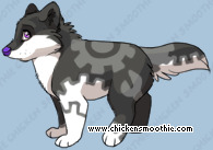 Pet