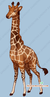 Pet