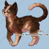 Pet