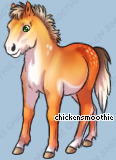 Pet