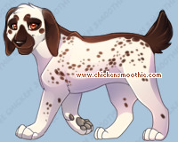 Pet