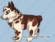 Pet