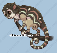 Pet