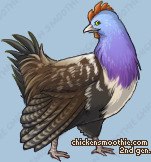 Pet