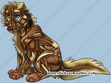 Pet