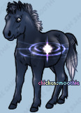 Pet