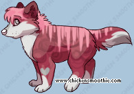 Pet