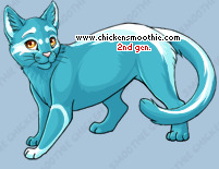 Pet