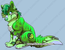 Pet