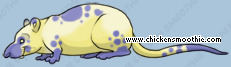 Pet