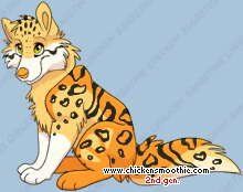Pet