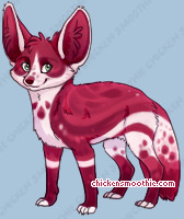 Pet