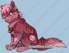 Pet