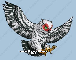 Pet