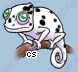 Pet