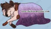 Pet
