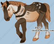 Pet