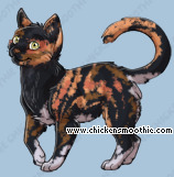Pet