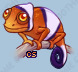 Pet
