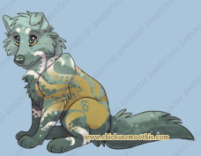 Pet