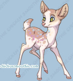 Pet