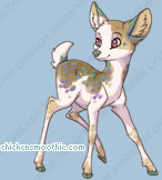 Pet