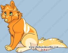 Pet