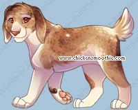 Pet