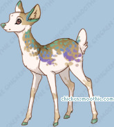 Pet