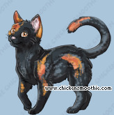 Pet