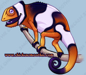 Pet