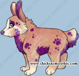 Pet